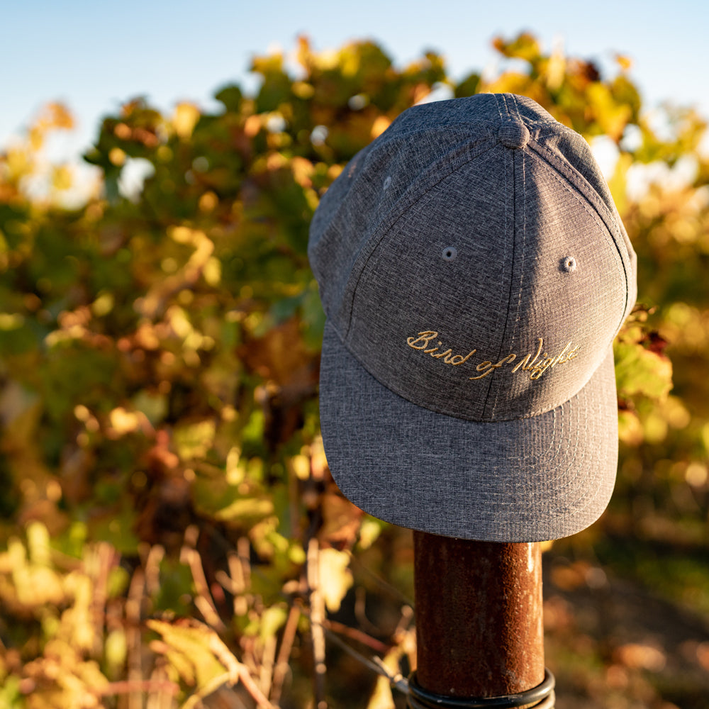 Bird of Night hat in Heather Grey on vineyard post