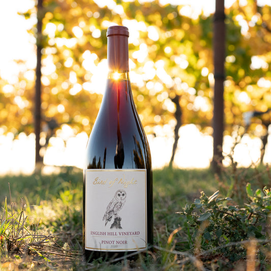 Bottle of 2020 English Hill Vineyard Pinot Noir on vineyard floor with sunshine behind it