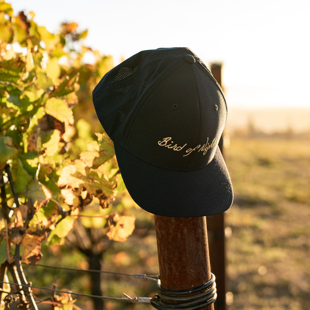 Black Bird of Night hat on vineyard post